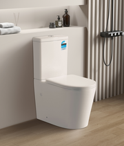 livis Rimless Wall Faced Toilet Suite