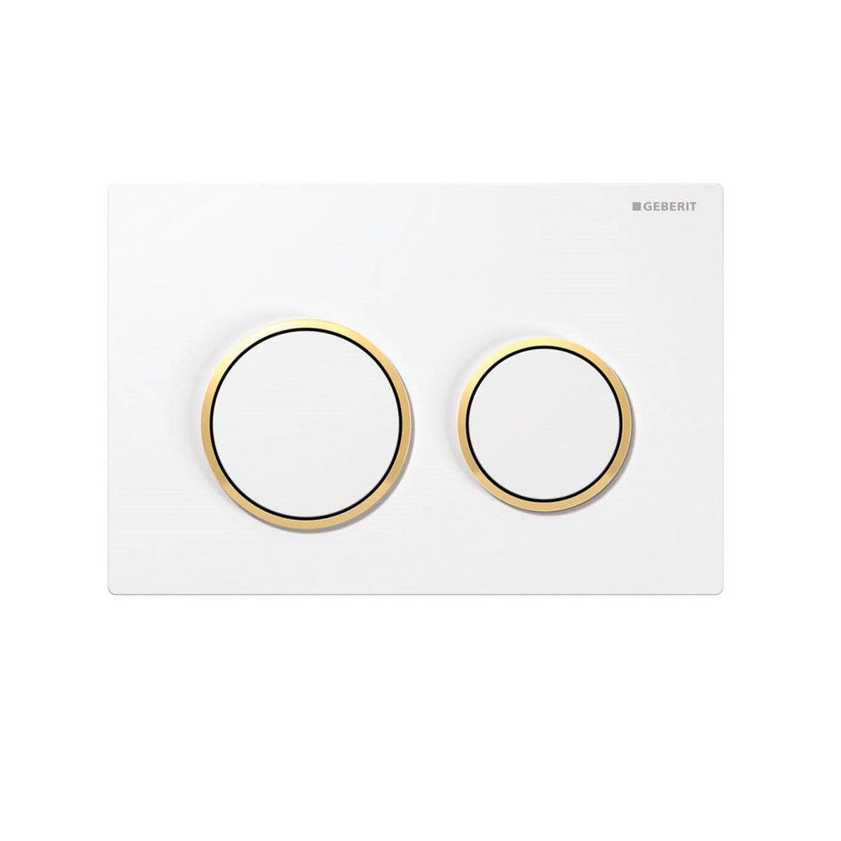 Avis Geberit inwall floor toilet suite Matte White Rimless Floor Pan