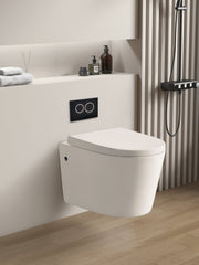 Avis Geberit In Wall Wall Hung Toilet Suite