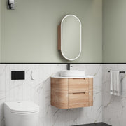 Briony 750mm Wall Hung Vanity