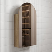 Carita Canterbury Shaving Cabinet