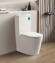 Vivid Back to wall toilet wall faced suite
