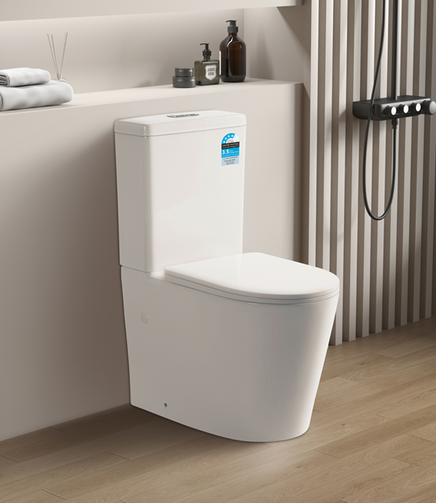 Vivid Back to wall toilet wall faced suite