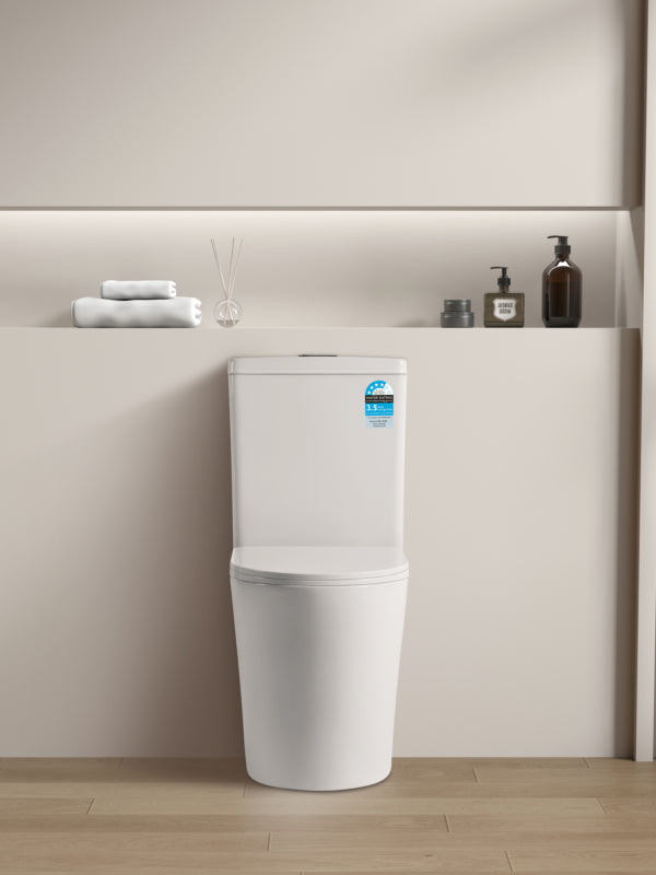 Vivid Back to wall toilet wall faced suite