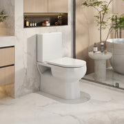 Moi Rimless Back-to-Wall Toilet Suite