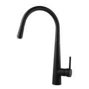 Black Pull Out Kitchen Mixer