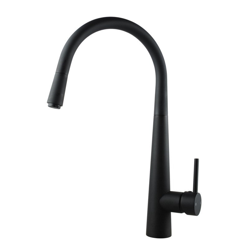 Black Pull Out Kitchen Mixer
