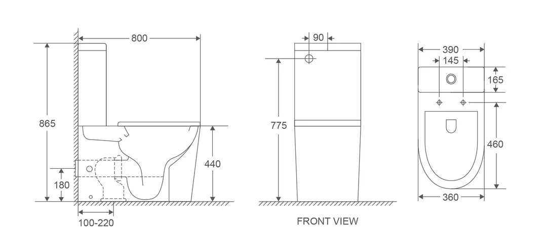 Pani Care-Accessible Back-to-Wall Toilet